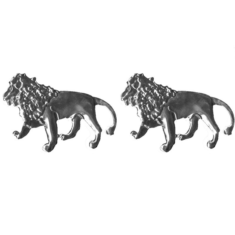 Space Aslan Logo / YACI60 Space Aslan Logo / YACI60